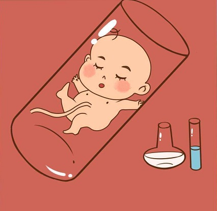 试管婴儿包生男孩公司
